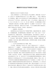 镇政府百日安全生产活动的工作总结