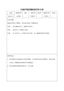 分级护理质量检查评价分析