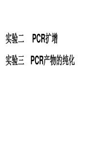 实验二-PCR扩增及其产物的纯化