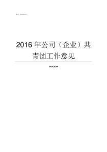 2016年公司企业共青团工作意见