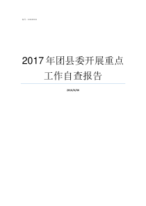 2017年团县委开展重点工作自查报告截至2017年9月中央已开展