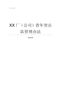 XX厂公司青年突击队管理办法青年