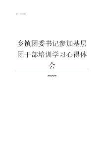 乡镇团委书记参加基层团干部培训学习心得体会基层团委书记年龄要求