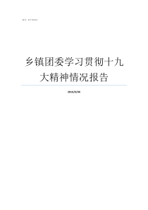 乡镇团委学习贯彻十九大精神情况报告