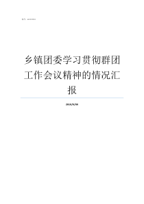 乡镇团委学习贯彻群团工作会议精神的情况汇报