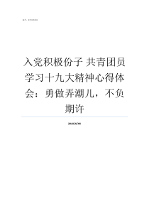 入党积极份子nbsp共青团员学习十九大精神心得体会勇做弄潮儿不负期许