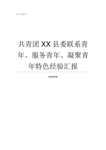 共青团XX县委联系青年服务青年凝聚青年特色经验汇报