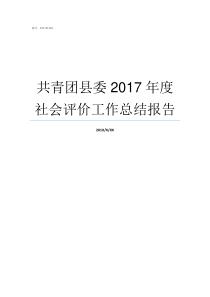 共青团县委2017年度社会评价工作总结报告