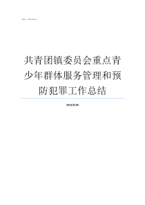 共青团镇委员会重点青少年群体服务管理和预防犯罪工作总结