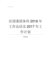 区团委团务科2016年工作总结及2017年工作计划楚雄市团委学少科