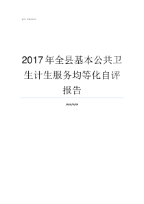 2017年全县基本公共卫生计生服务均等化自评报告公消201710号