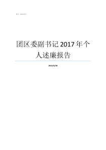 团区委副书记2017年个人述廉报告团区委副书记好吗