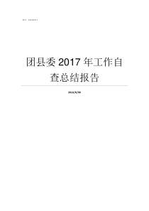 团县委2017年工作自查总结报告团工委工作