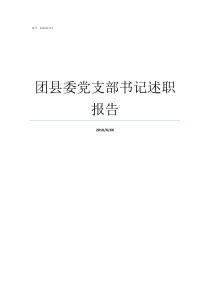 团县委党支部书记述职报告党支部书记每年应当向谁述职