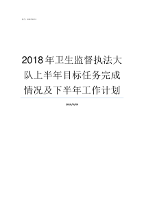 2018年卫生监督执法大队上半年目标任务完成情况及下半年工作计划