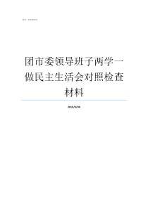 团市委领导班子两学一做民主生活会对照检查材料