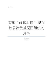 实施命脉工程nbsp整治软弱涣散基层团组织的思考工程质量是工程命脉