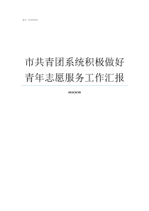 市共青团系统积极做好青年志愿服务工作汇报共青团线上系统