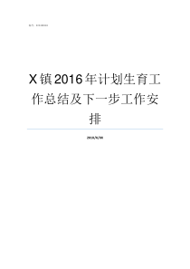 X镇2016年计划生育工作总结及下一步工作安排X龙计划