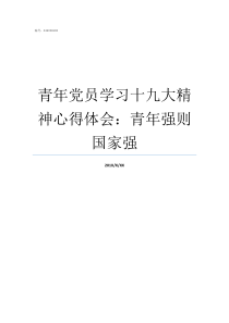 青年党员学习十九大精神心得体会青年强则国家强