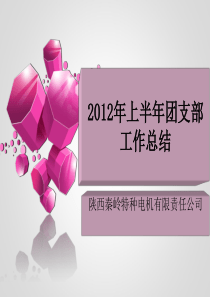 2012年上半年团支部工作总结