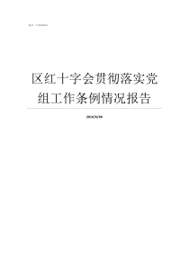 区红十字会贯彻落实党组工作条例情况报告加强党对全面依法治国的领导