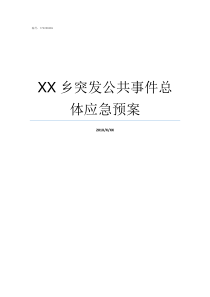 XX乡突发公共事件总体应急预案XX不X成语