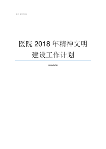 医院2018年精神文明建设工作计划2019两会精神