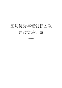 医院优秀年轻创新团队建设实施方案专家团队建设实施方案优秀团队口号创新