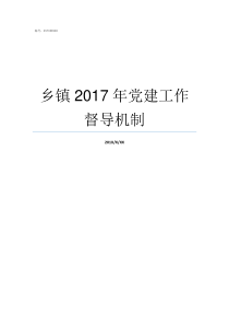 乡镇2017年党建工作督导机制