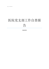 医院党支部工作自查报告