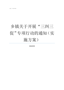 乡镇关于开展三纠三促专项行动的通知实施方案乡镇工作如何开展