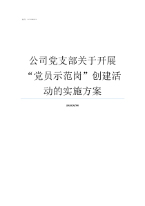 公司党支部关于开展党员示范岗创建活动的实施方案党支部一般每年开展