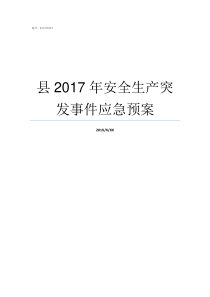 县2017年安全生产突发事件应急预案