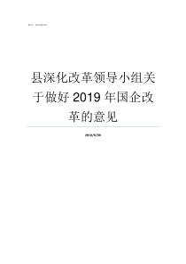 县深化改革领导小组关于做好2019年国企改革的意见全国深化改革领导小组