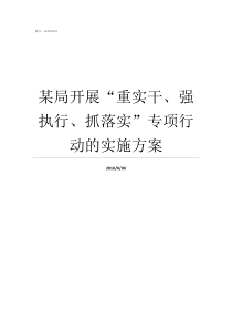 某局开展重实干强执行抓落实专项行动的实施方案重实干强执行抓落实专题研讨