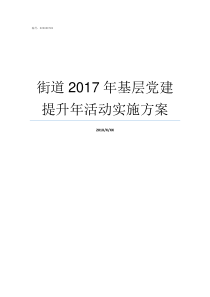 街道2017年基层党建提升年活动实施方案街道党组织