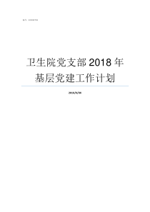 卫生院党支部2018年基层党建工作计划