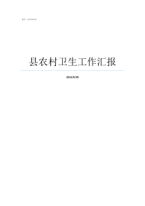 县农村卫生工作汇报农村村委委员述职报告