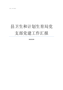 县卫生和计划生育局党支部党建工作汇报