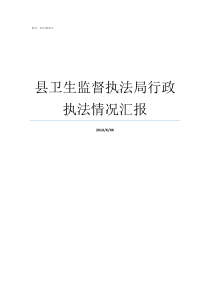 县卫生监督执法局行政执法情况汇报