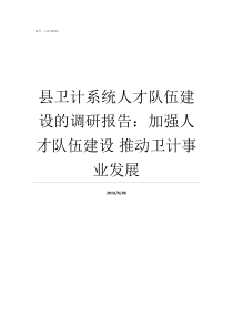 县卫计系统人才队伍建设的调研报告加强人才队伍建设nbsp推动卫计事业发展人才队伍不