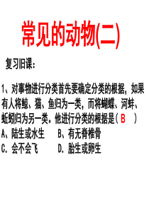 浙教版七年级科学上第二章2.4常见的动物(二)