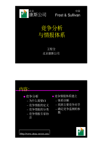 竞争分析与情报体系(PDF 60页)