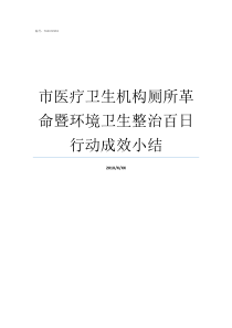 市医疗卫生机构厕所革命暨环境卫生整治百日行动成效小结实施厕所革