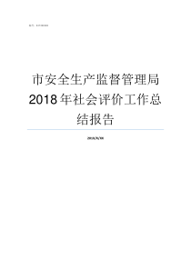 市安全生产监督管理局2018年社会评价工作总结报告