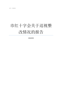 市红十字会关于巡视整改情况的报告广州市红十字会医院地址