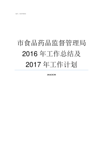 市食品药品监督管理局2016年工作总结及2017年工作计划