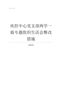 疾控中心党支部两学一做专题组织生活会整改措施两学一做存在问题及整改措施