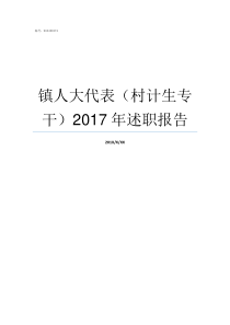 镇人大代表村计生专干2017年述职报告村人大代表如何产生